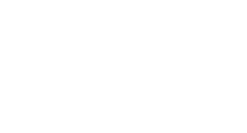 dsv-white-logo.png